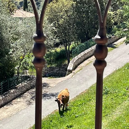 Avec Vue Et Piscine Privée Hébergement de vacances