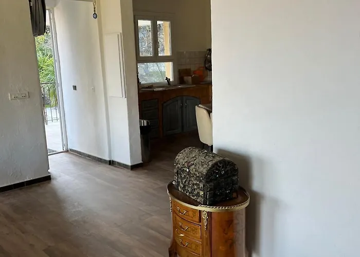 Avec Vue Et Piscine Privée Hébergement de vacances Moltifao