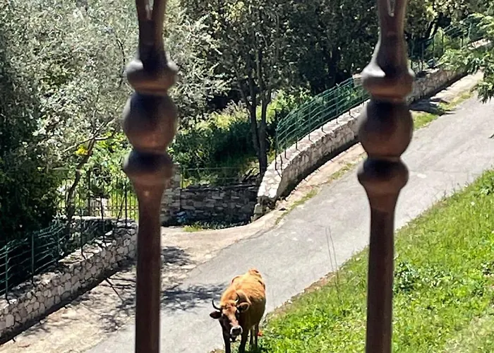Avec Vue Et Piscine Privee Holiday home